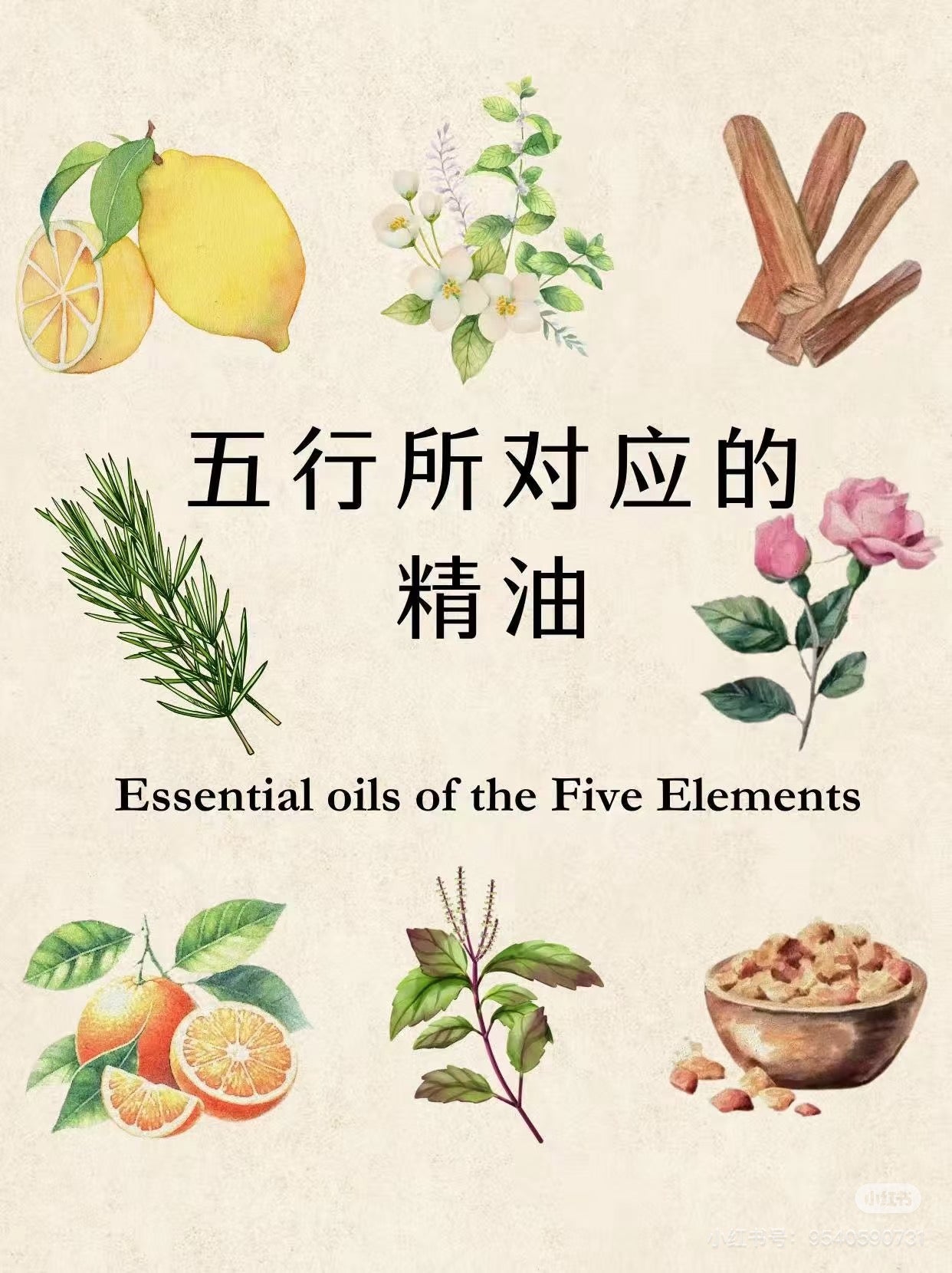 五行精油系列